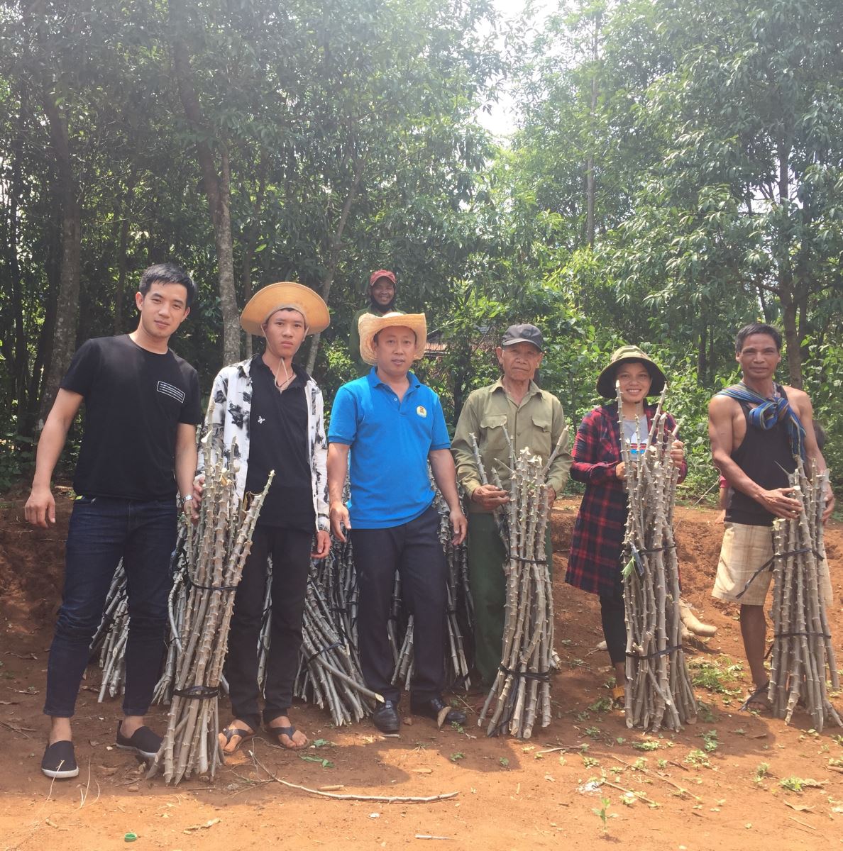 Liên đoàn Lao động hỗ trợ cây giống Mỳ cao sản KM149 tại Thôn Kon Sang, xã Đắk Na, huyện Tu Mơ Rông.