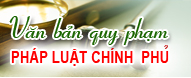 Van ban chinh phu
